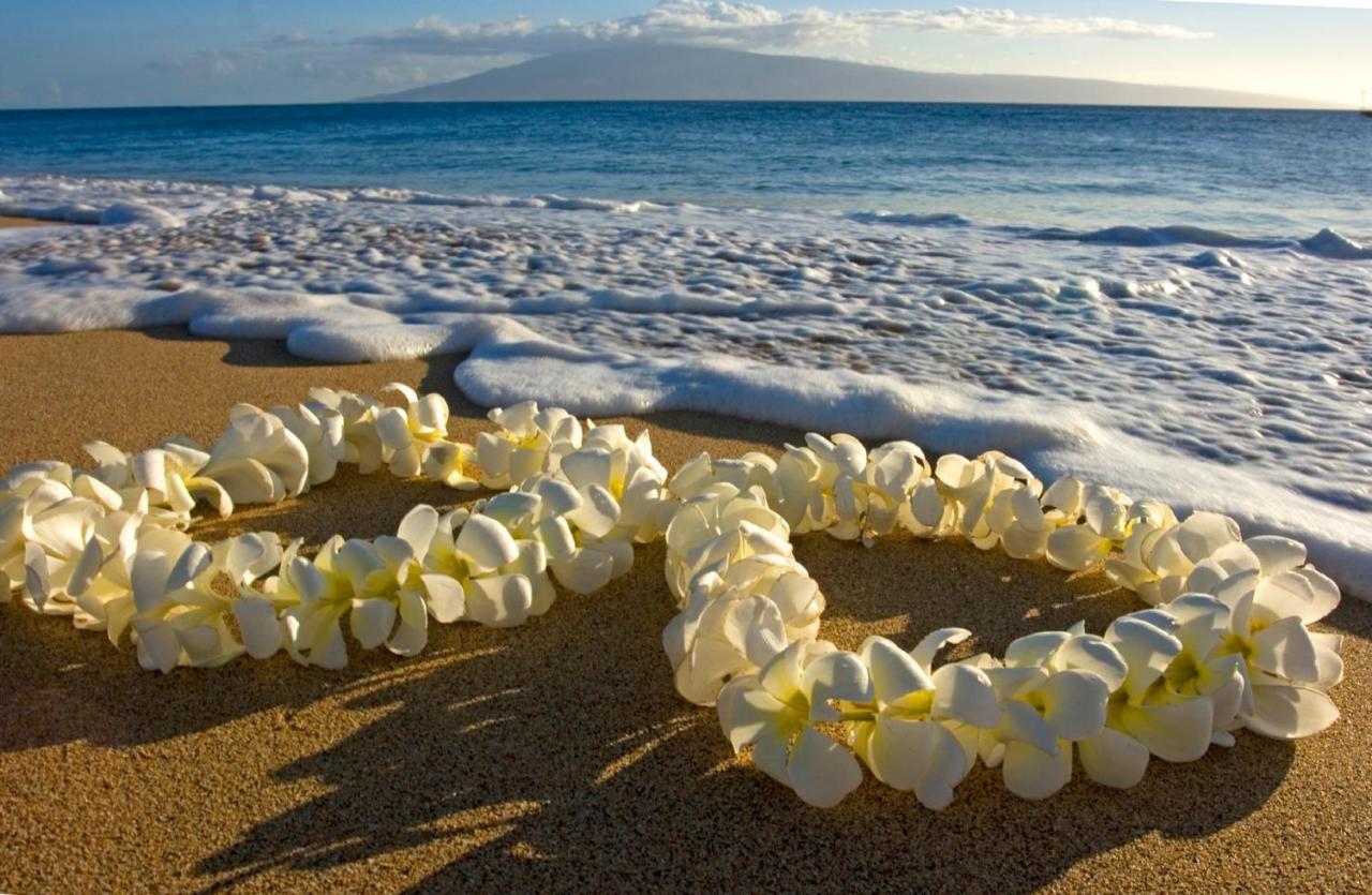 Aloha Vibes Await! Stylish Condo At Aloha Surf - Mountain And City Views Honolulu Dış mekan fotoğraf